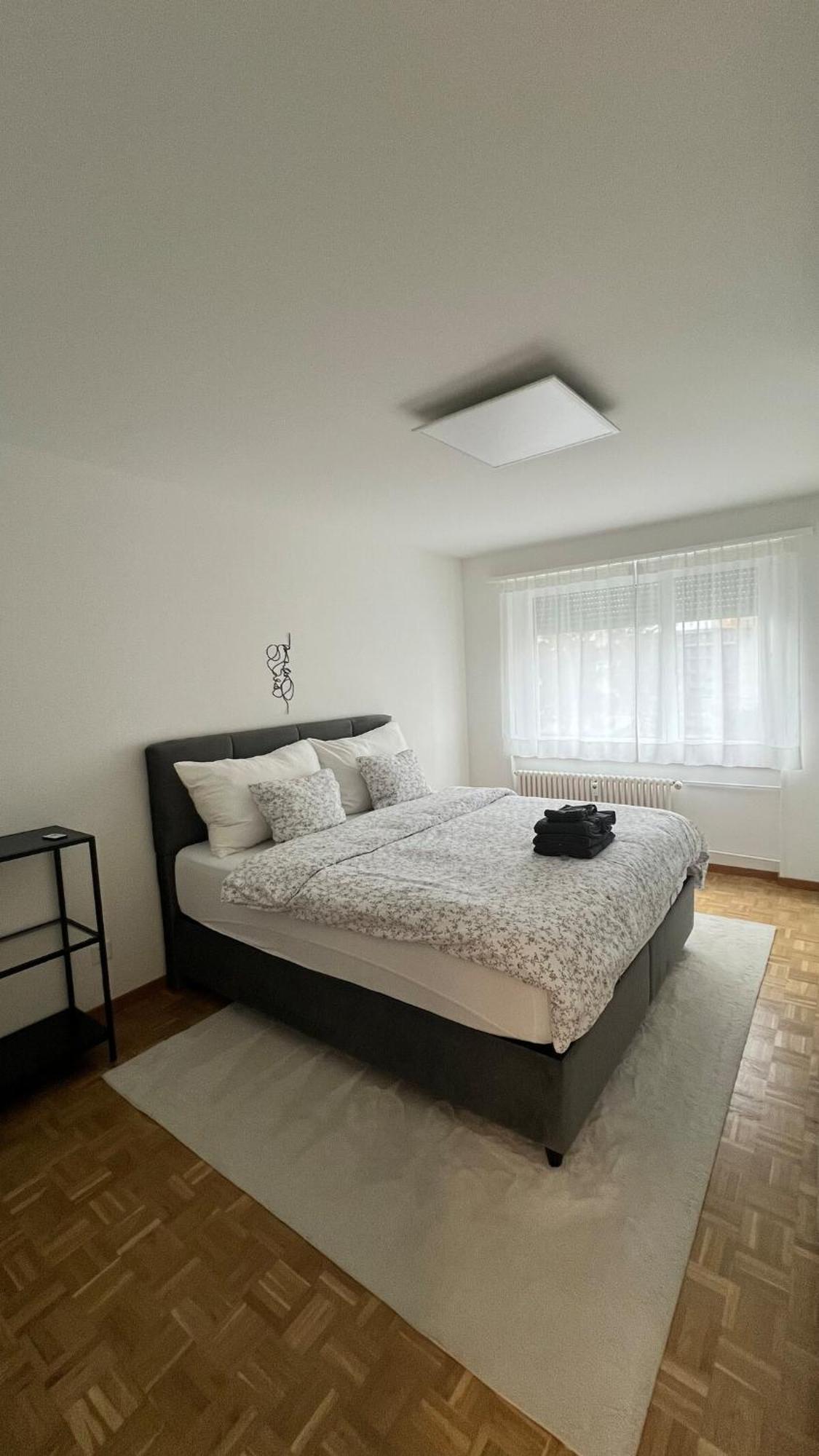 Apartment Modern In Basel