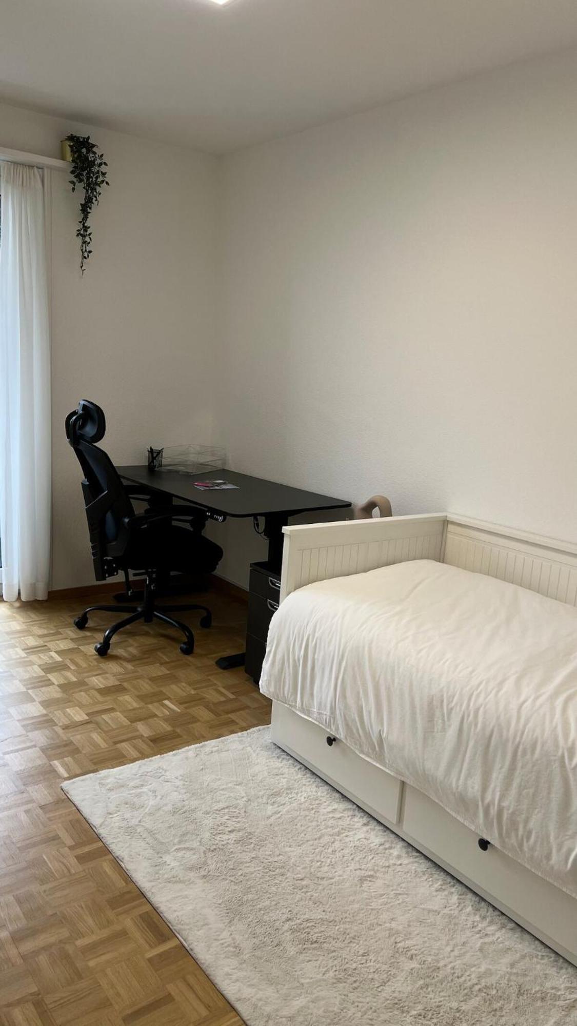 Apartment Modern In